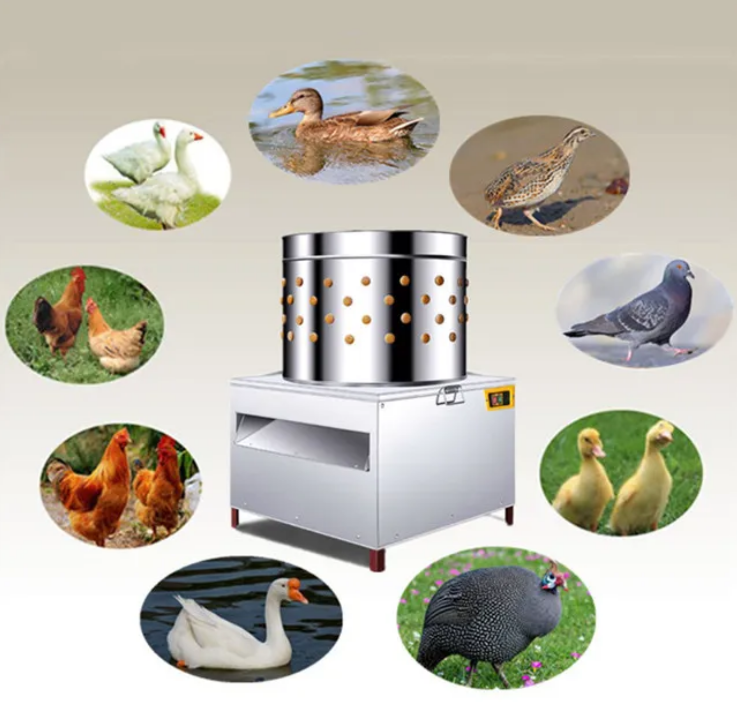 Ticari Tavuk Tüy Alma Makinesi - Chicken Plucker Machine incelemesi ve fiyatı