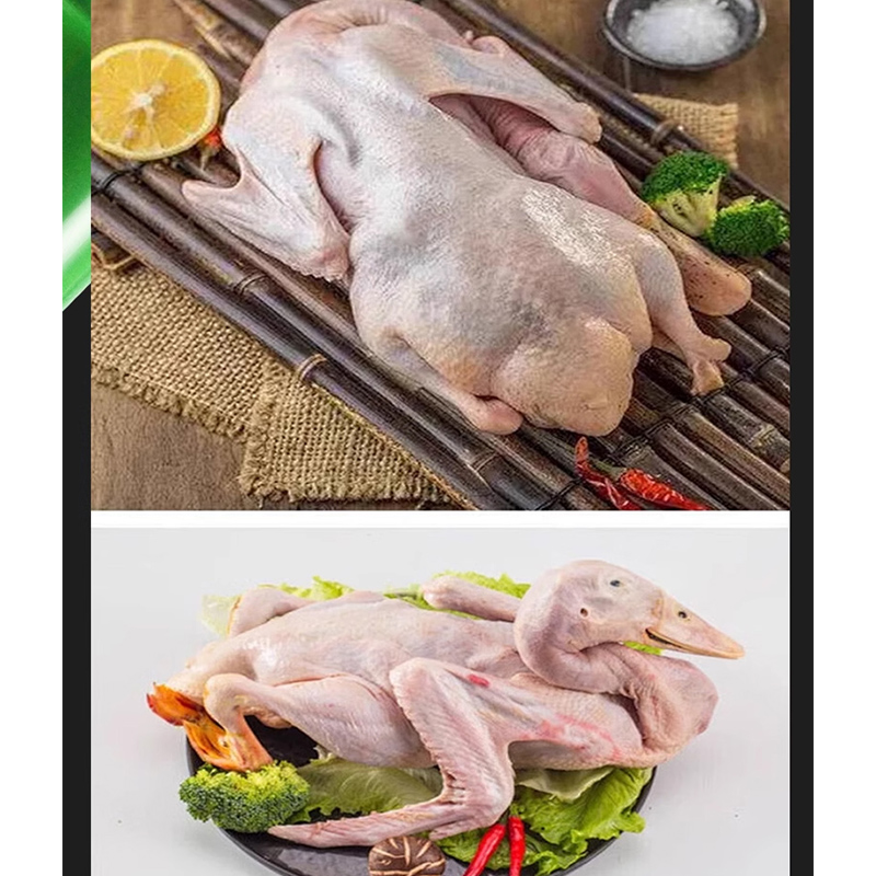 El tüy yolma makinesi otomatik - Chicken Plucker Machine incelemesi ve fiyatı