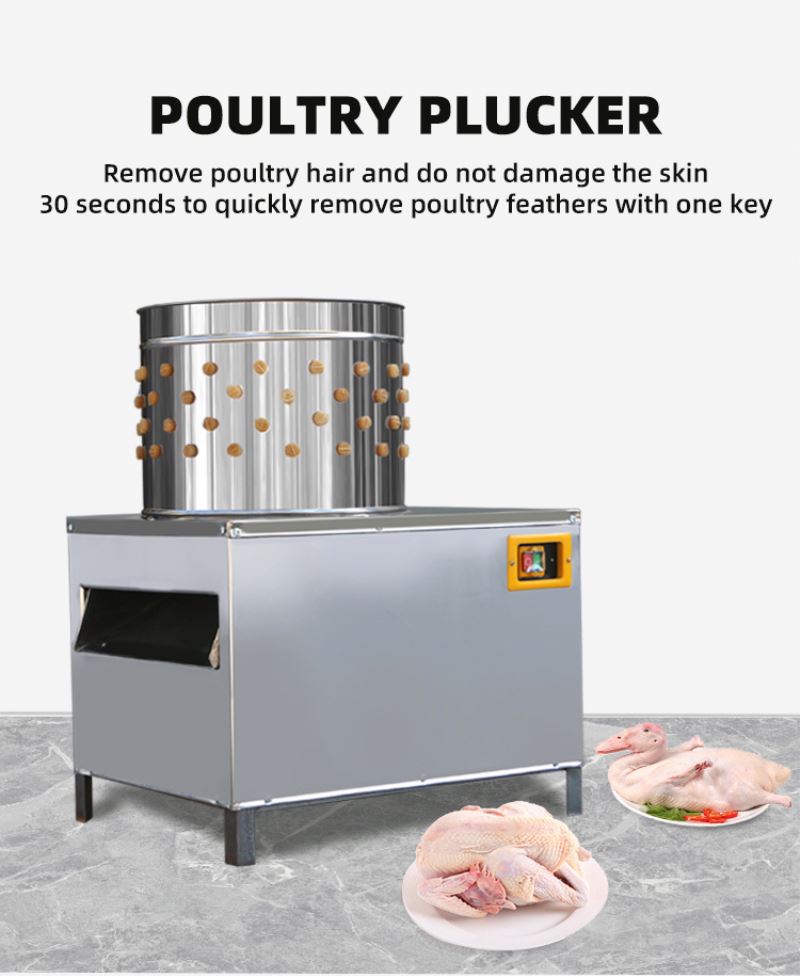 ISO Onaylı Güvercin ve Tavuk K - Chicken Plucker Machine incelemesi ve fiyatı