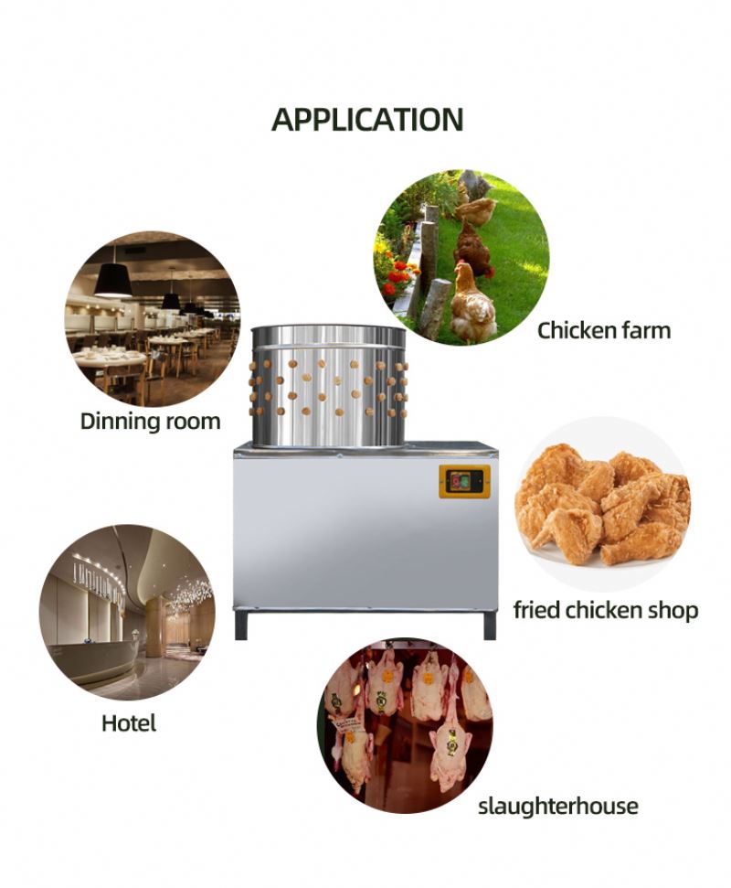 ISO Onaylı Güvercin ve Tavuk K - Chicken Plucker Machine incelemesi ve fiyatı